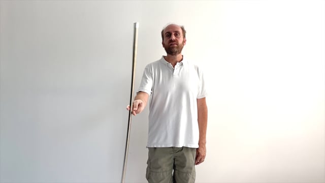 Video Bastone a Sparizione Argento - Professionale (metallo)