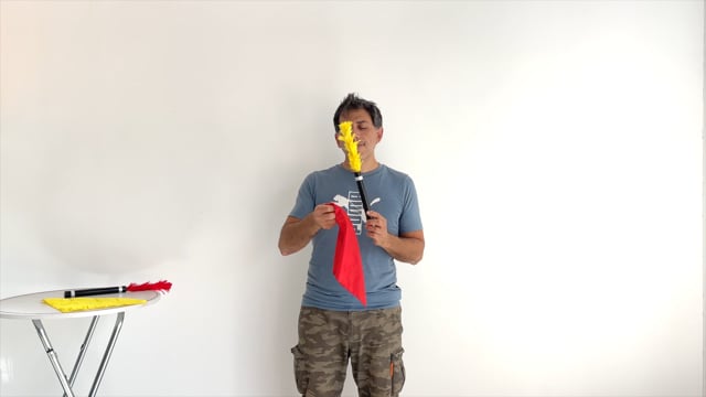 Video Cambi di colore istantanei - Bouquet di fiori