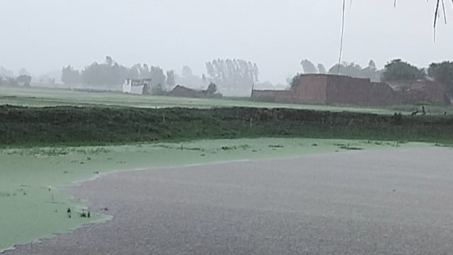 सुबह से लगातार बारिश होने से किसानों के चेहरे पर मुस्कुराहट आई धन की उम्मीद जाग उठी