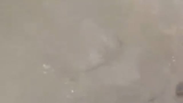 बिहार के छपरा की रहने वाली 14 वर्षीय किशोरी सिमरन की वाराणसी के दशाश्वमेध थाना क्षेत्र के मीर घाट पर स्नान के दौरान डूब जाने से मौत*