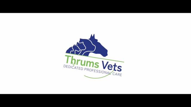 Thrums Vets
