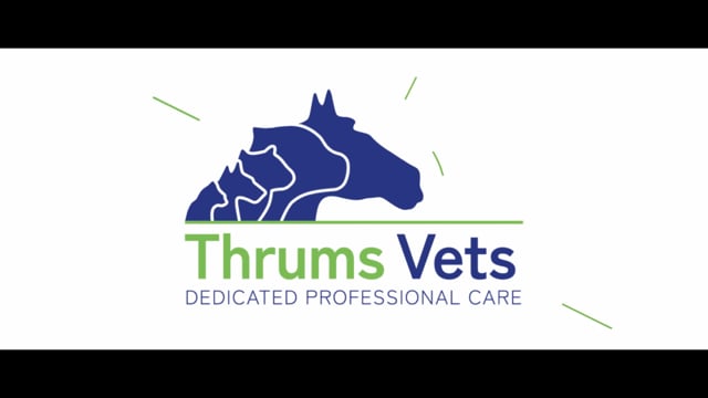 Thrums Vets