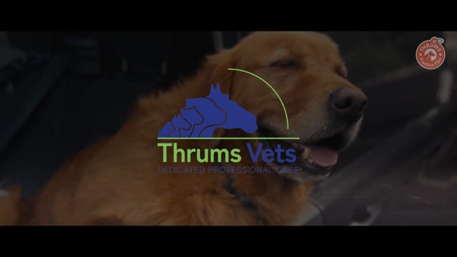 Thrums Vets