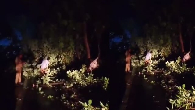 प्रतापगढ़ जिले की अभी तक की सभी छोटी बड़ी खबरें 21/07/2026