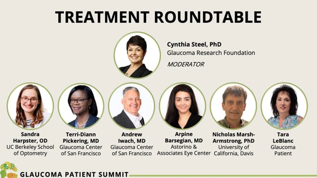 2026 Summit: Treatment Roundtable – Cynthia Steel, Phd
