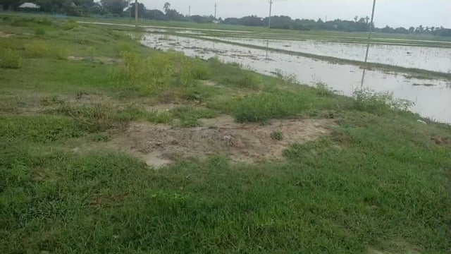  ଲଗାଣ ବର୍ଷା ରେ ଓଡ଼ିଶା ବେହାଲ। ମାସ ଆରମ୍ଭ ରେ ପ୍ରବଳ ବର୍ଷା 