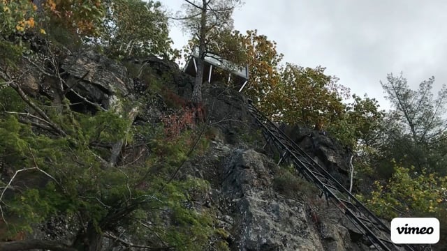 Video of Lift 81