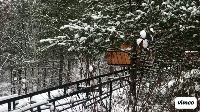 Lift 79 — Gull Lake, Minden