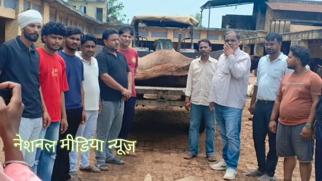 बहसूमा की चूहा पुरी गौशाला में लगभग एक दर्जन गोवंश मृत अवस्था में मिलने का मामला सामने आया है। भूख और प्यास एवं देखभाल में लापरवाही का आरोप लगाते हुए बहसूमा गौ सेवा टीम और रामराज गौ सेवा टीम ने संयुक्त रूप से थाना पुलिस को सूचना देकर कार्रवाई की मांग की है।