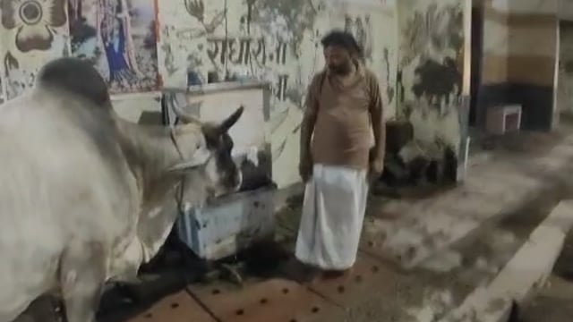 अद्भुत दृश्य वृंदावन से