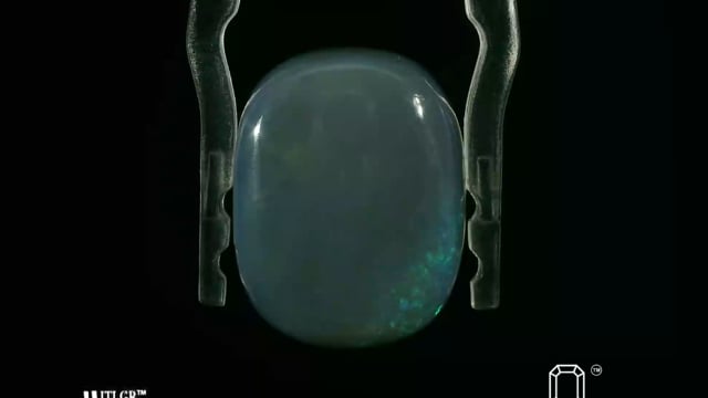 Video 1