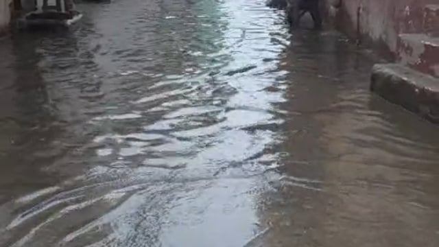 मामूली बारिश में डूबा मोहल्ला, पालिका के विकास दावों की खुली पोल, पठान द्वितीय में सड़कों पर घुटनों तक भरा पानी, स्कूली 