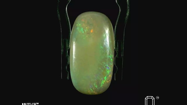 Video 1