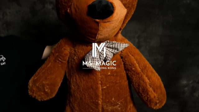 Video Teddy Bear Appearance (Extra Large) by MS Magic