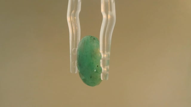 Video 1