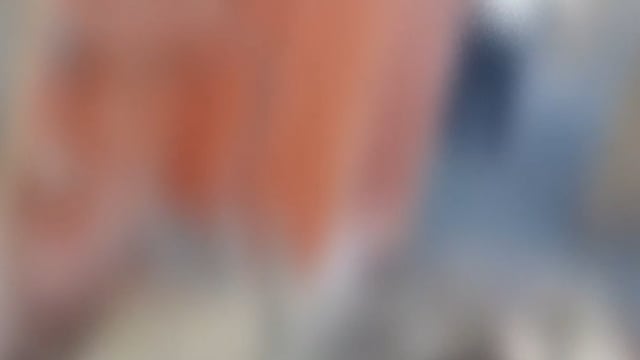 सिद्धार्थनगर में बेकाबू ट्रेलर का कहर! 13 मवेशियों समेत युवक की दर्दनाक मौत