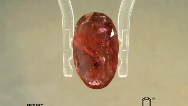 Video 1