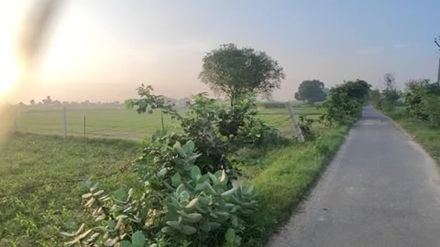स्वास्थ्यवर्धक जानकारी सुबह की मॉर्निंग वॉक को लेकर