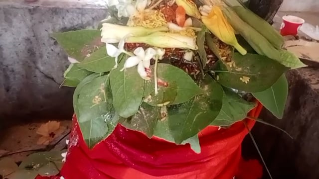 बांसडीह कस्बे सहित ग्रामीण क्षेत्रो में सावन मास के प्रथम दिन जलाभिषेक करने को लेकर मंदिरों पर शिव भक्तों की उमड़ी भीड़