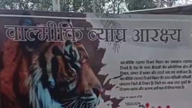 वाल्मीकि नगर में बाघ का खूनी हमला! खेत में बुजुर्ग पर टूटा कहर, दहशत में पूरा गांव