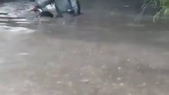 नोएडा — लगातार बारिश के बाद नोएडा के अंडरपास में भारी जलभराव हो गया, जिससे यातायात प्रभावित