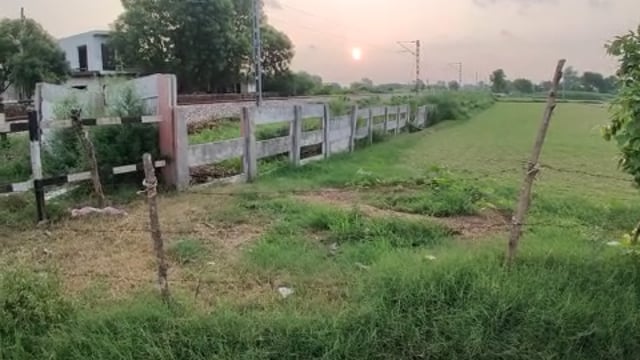 सुबह की शुरुआत मॉर्निंग वॉक के साथ नेशनल मीडिया के साथ राहुल शर्मा