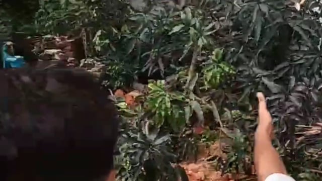 तहसील परिसर में पेड़ कटान पर अधिवक्ताओं का विरोध, ठेकेदार के खिलाफ पुलिस से शिकायत