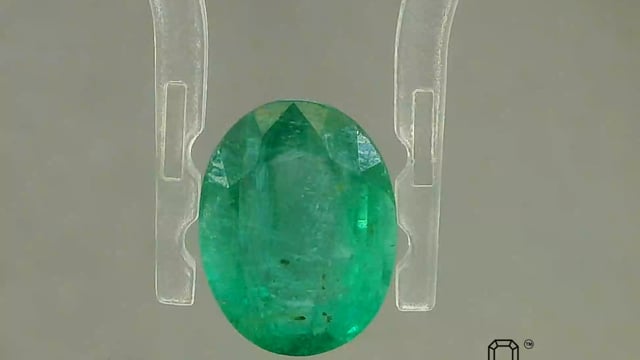 Video 1