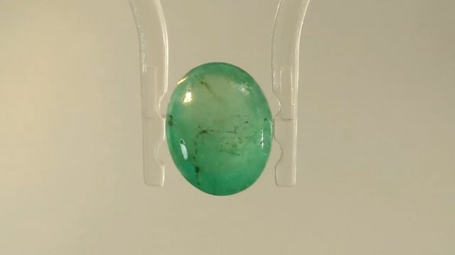 Video 1