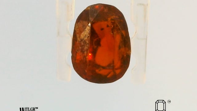 Video 1