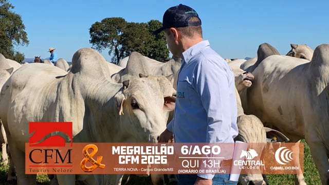 Matéria Especial