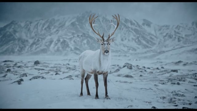 AI SHOWREEL