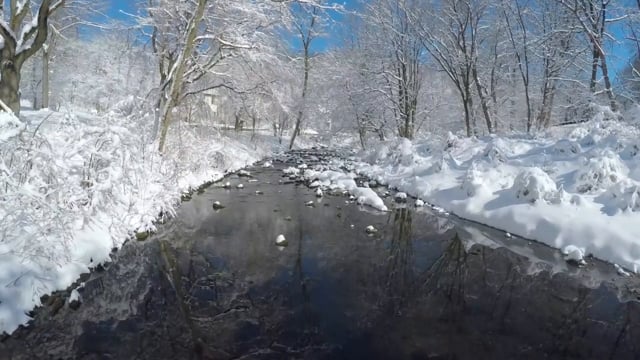 Vimeo video thumbnail