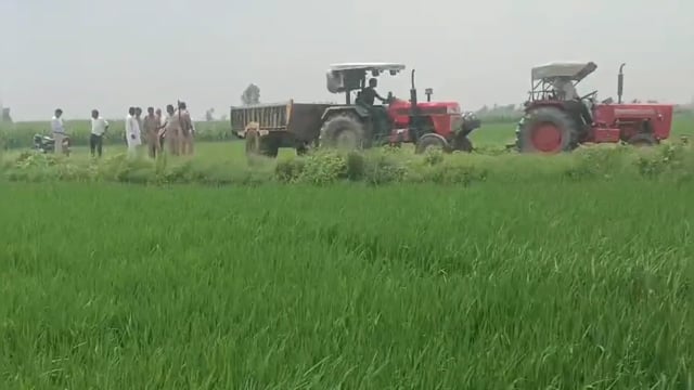 मिट्टी खनन में लगी ट्रैक्टर ट्राली पकड़ी, डंपर अब भी बेखौफ! आखिर किसके संरक्षण में चल रहा मिट्टी खनन का खेल