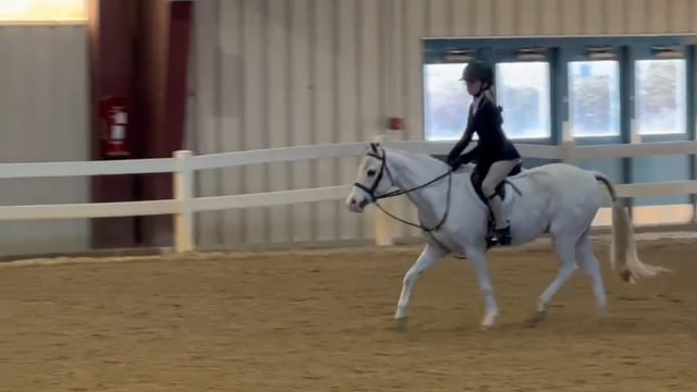 Arnaby Cassanova video 2