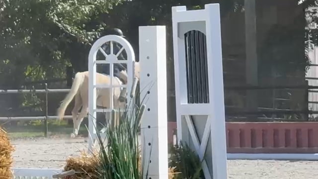 Arnaby Cassanova video 4