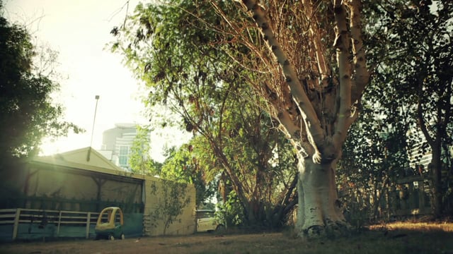 SHORT FILM: 'PARADISE FALLS'