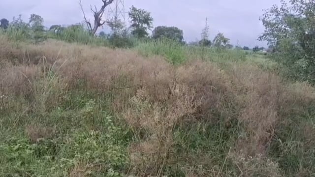 फरह क्षेत्र गांव कुरकन्दा के शमशान की फाइल हुई पास नेशनल मीडिया पर खबर चलने का हुआ असर 