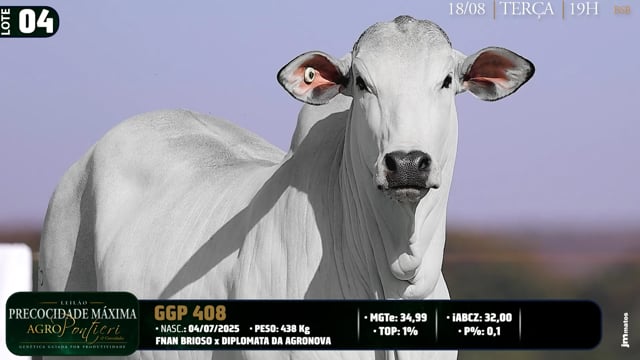 Lote 04