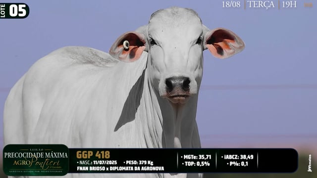 Lote 05