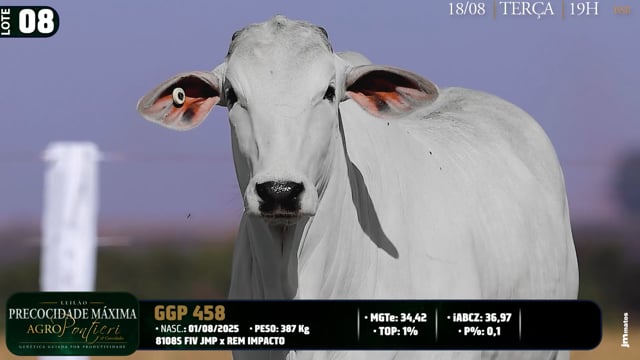 Lote 08