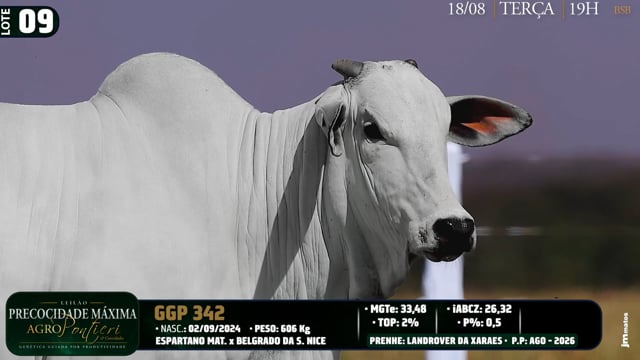 Lote 09