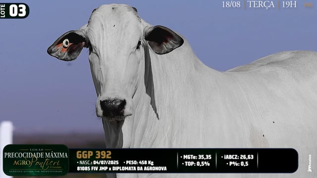 Lote 03