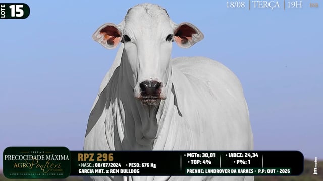 Lote 15