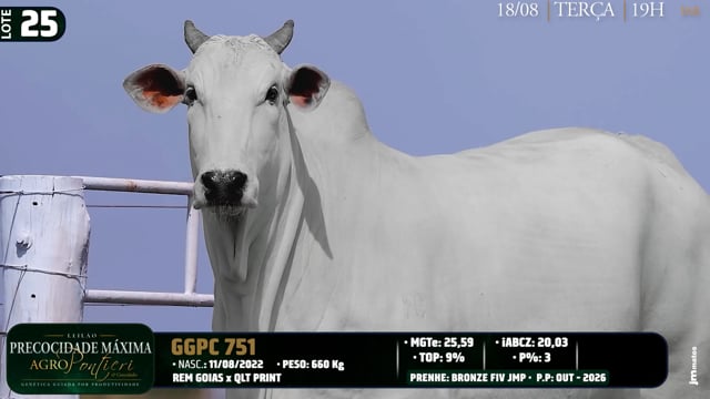 Lote 25