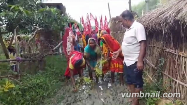 कच्ची सड़क बनी धान का खेत, लाल झंडे तले ग्रामीणों ने सरकार को दिखाया आईना