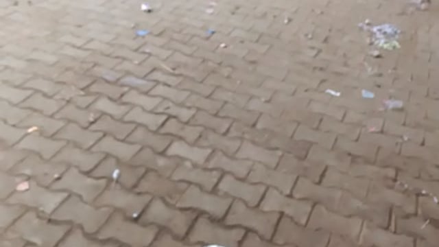 बाद मथुरा उत्तर प्रदेश @#281006