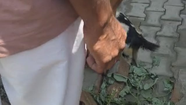 दुधवा रोड पर बाइक-कार की भीषण टक्कर, दो की मौत, तीन घायल, ग्राम फरसैया टांडा के पास हुआ हादसा