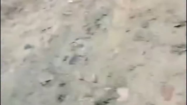 पुरानी रंजिश मे दो पक्षों चटकी लाठियां,चले ईंट गुम्मे 