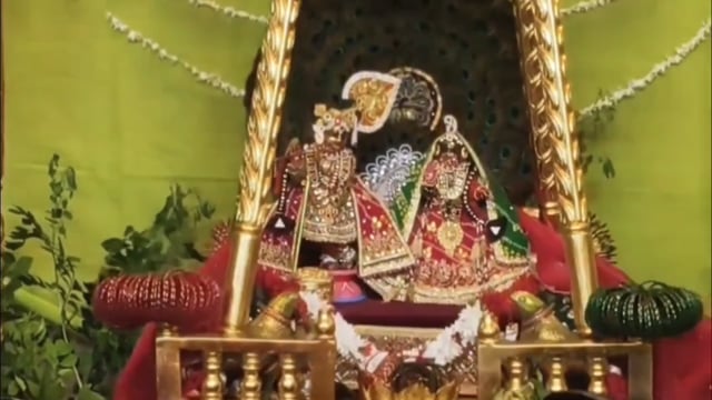 वृंदावन 

ठाकुर श्री राधा नील माधव मंदिर में धूमधाम से मनाया हरियाली तीज एवं झूलन उत्सव, हरे वस्त्रों में हुआ अलौकिक
